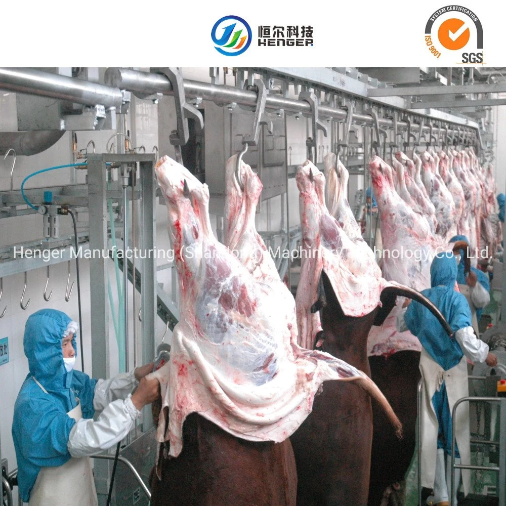 Halal Slaughter Machine for Cattle Cow Sheep Goat Slaughterhouse