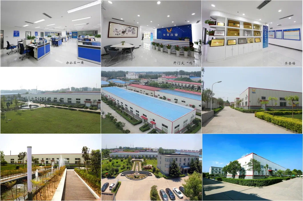 China Manufacturer Feed Additive King Vc for Animals to Improve Physical Conditions