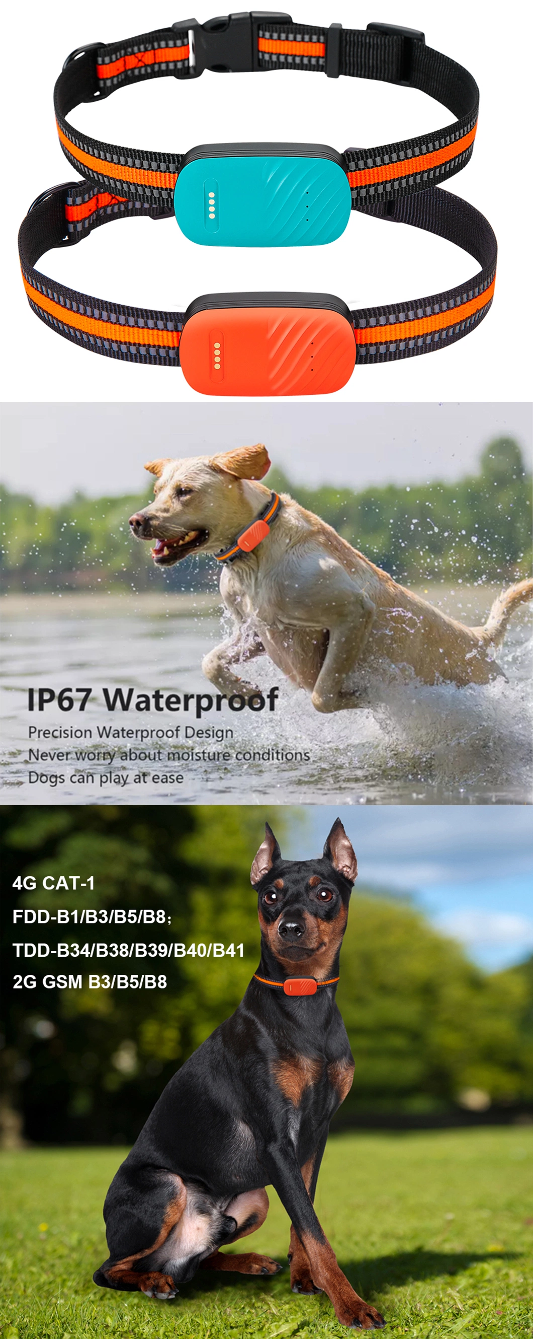 New arrival waterproof GPS 4G pet tracker for dog cat wild animals with free IOS Android mobile APP Y33