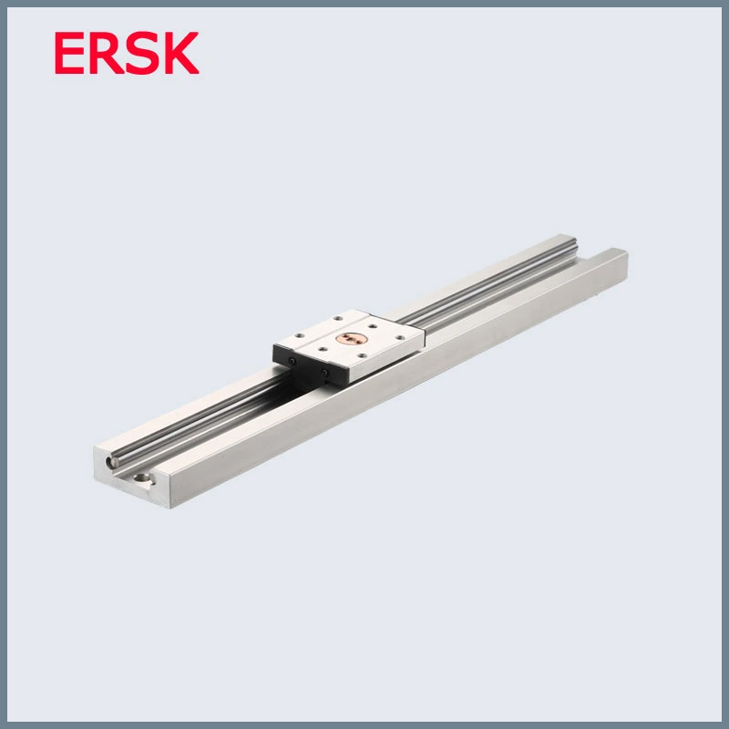 Sample Customization Anti Reverse Bearing Sgr20n CNC Linear Guide Rail