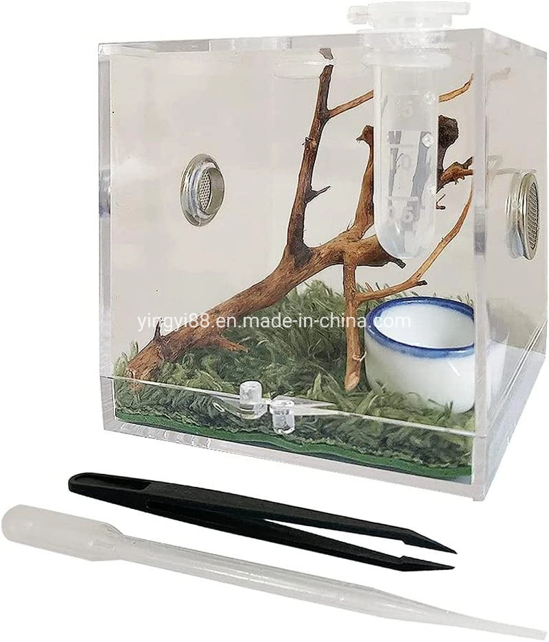 Clear Acrylic Reptile Breeding Box Spider Insect Terrarium Cage