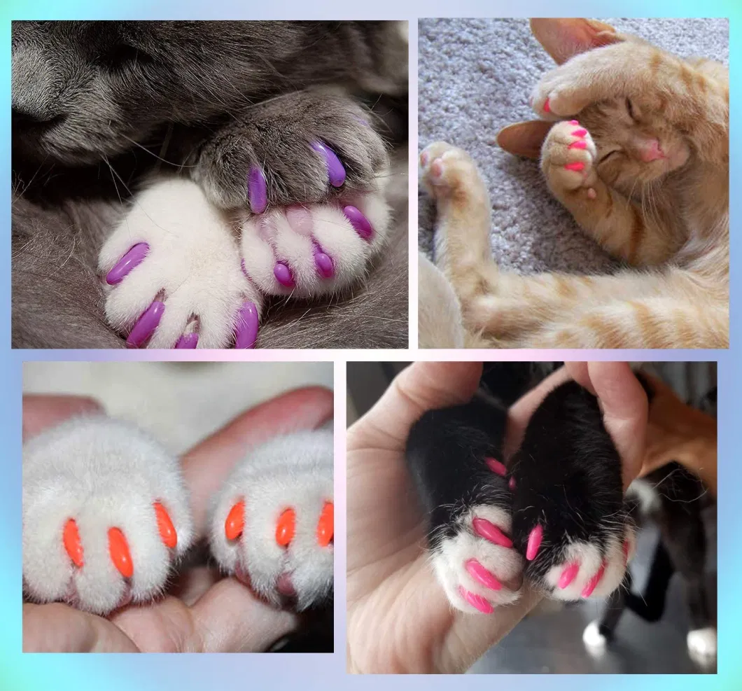 Wholesale Price Nail Tips Pet Soft Claws Covers Colorful Nail Glue Covers for Animal Claws Care with Glue Plastic Bottle