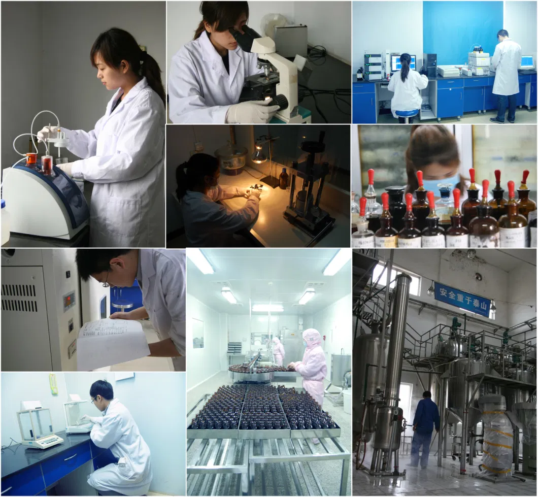 China Manufacturer Feed Additive King Vc for Animals to Improve Physical Conditions