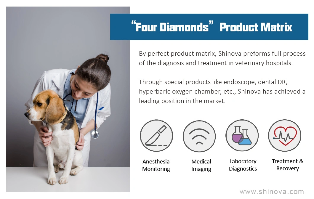 Veterinary High Frequency Mobile C-Arm System for Animals