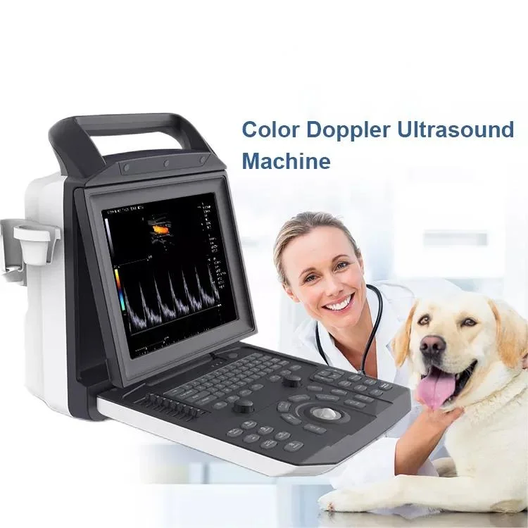 Medical Animal Pregnancy Scanner Portable Quality Color Veterinary Ultrasound System