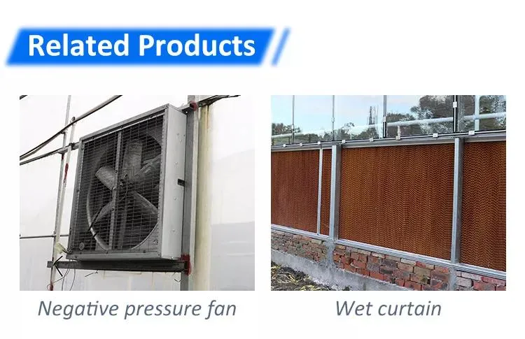 Circulation Ventilation Fan/Air Cooler/Animal Husbandry Equipment for Greenhouse