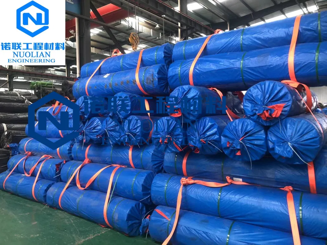 High Quality HDPE Composite Geotextile China Drainage Mat Board Building Material Geonet with Animal Husbandry