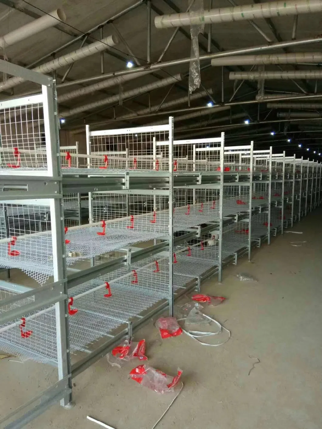 Poultry Farming Equipment Broiler Chicken Breeding Cage Automatic Manure Removal for Sale