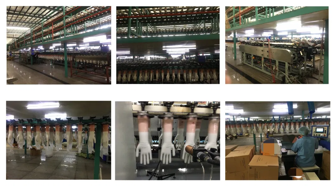 Food Processing Cooking Disposable Vinyl PVC Nitrile Glove with Safe Food Contact