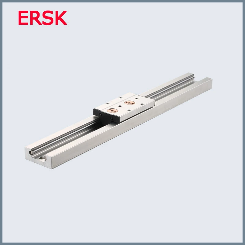 Sample Customization Anti Reverse Bearing Sgr20n CNC Linear Guide Rail