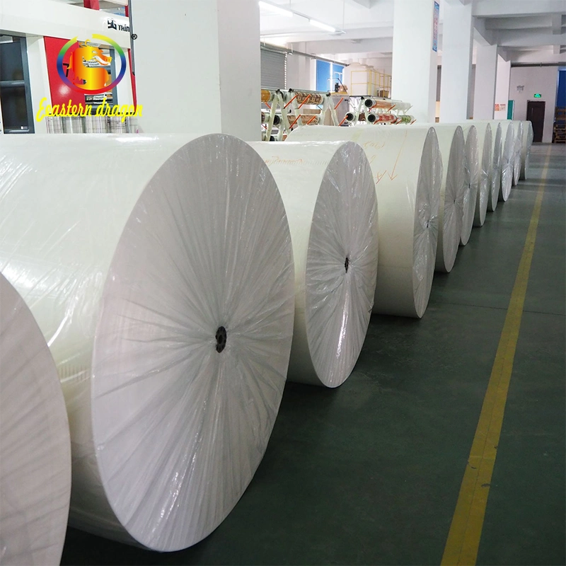 Food Grade/PE Coated Paper/Cup Base Paper