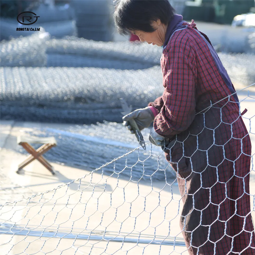 Hot DIP Electro Galvanized Animal Cage Fence Poultry Hexagonal Wire Mesh Gabion Mesh