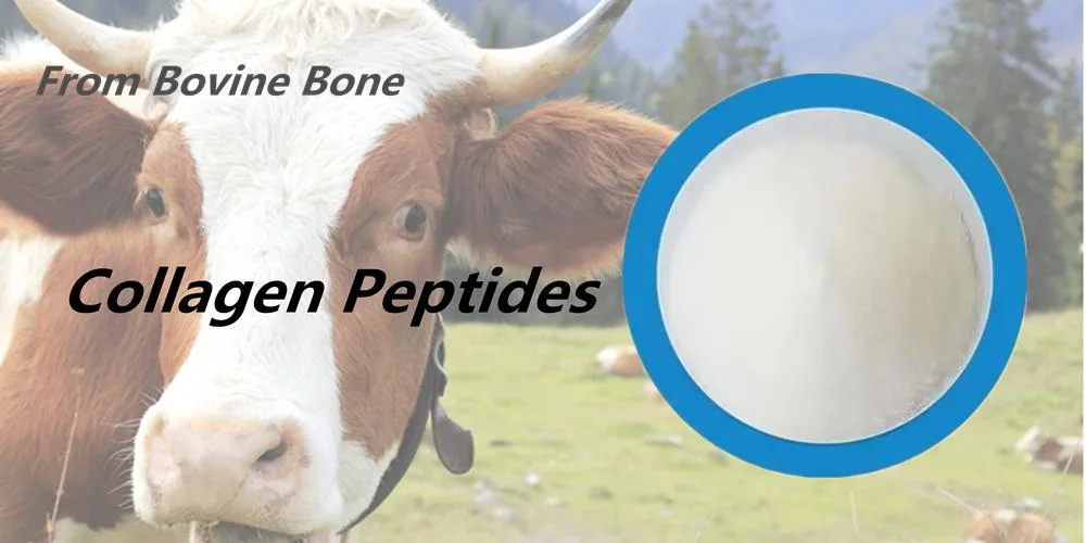 Animal Feed 90-98% Bovine Bone Collagen Peptide