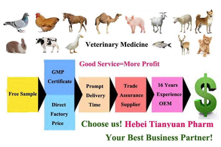 5% Flunixin Meglumine Injection for Animal Anti-Allergic Agents Anti-Inflammatory Veterinary Medicine for Cattle Calves Sheep Goats Horses