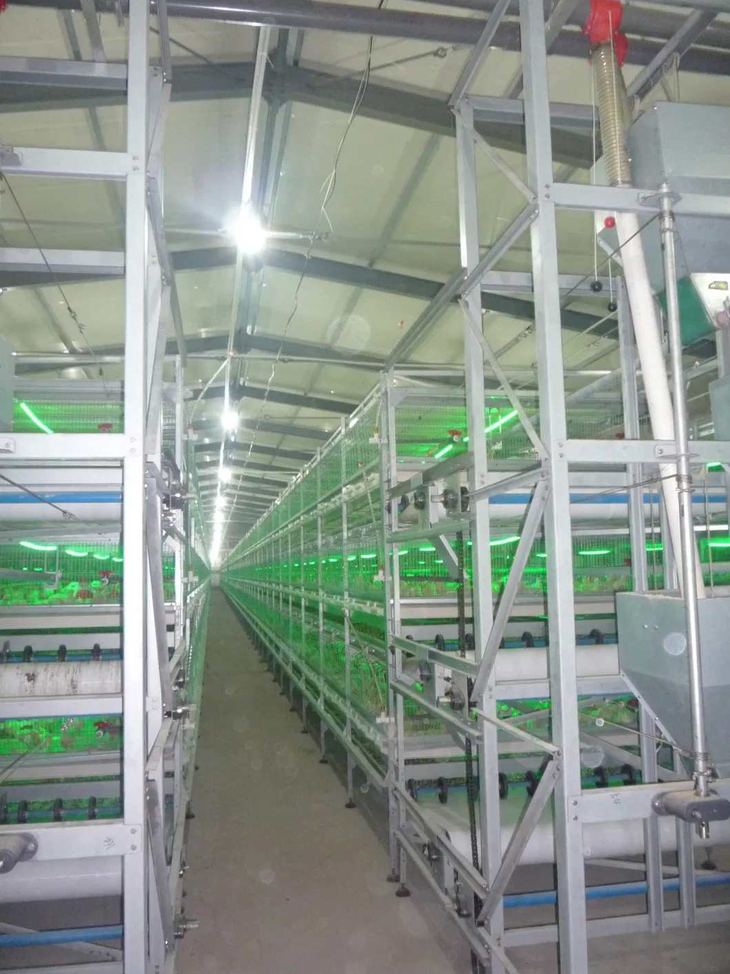 Poultry Farming Equipment Broiler Chicken Breeding Cage Automatic Manure Removal for Sale