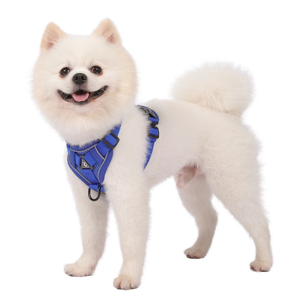 Simple out Vest Design Walking Dog Leash Adjustable Chest Strap Chest Strap