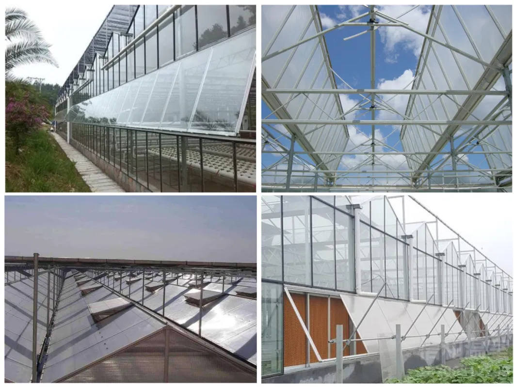 Multi-Span Hot Dipped Galvanized 200 Micro Film Greenhouse