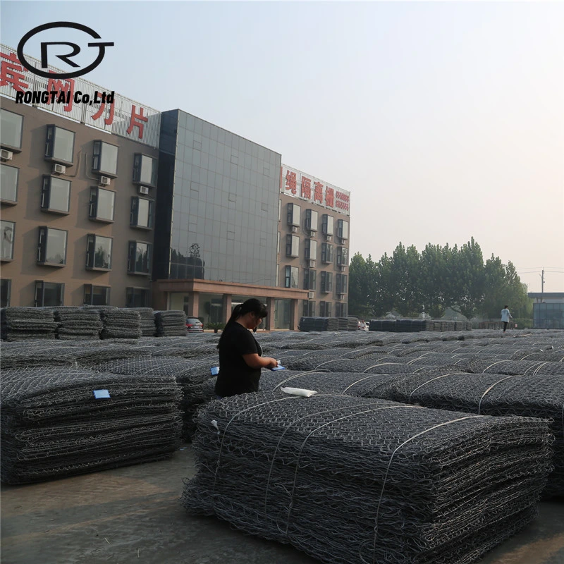 Hot DIP Electro Galvanized Animal Cage Fence Poultry Hexagonal Wire Mesh Gabion Mesh