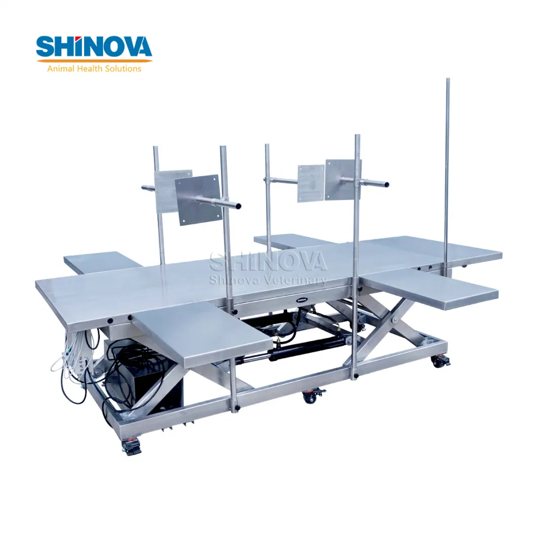 Veterinary Surgery Table Cattle/Horse Large Animal Surgery Table Equine Surgery Table (OT-03CV)