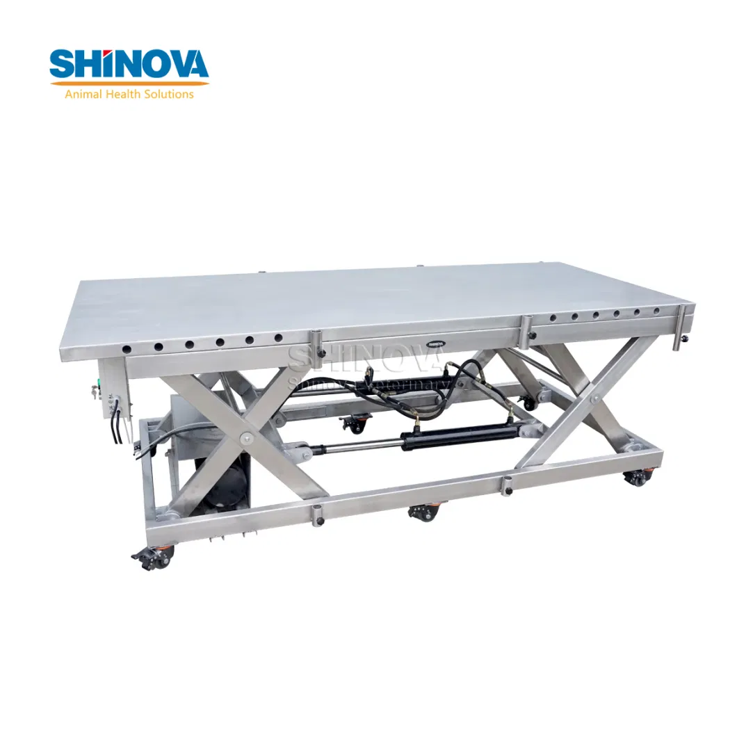 Veterinary Surgery Table Cattle/Horse Large Animal Surgery Table Equine Surgery Table (OT-03CV)