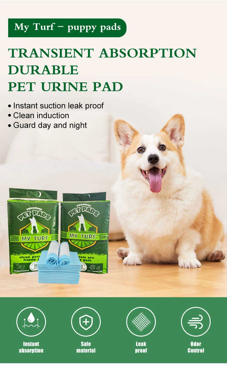 Pet Dog and Puppy Training Pads Anti-Slip Bottom Puppy Dog Pads Models EU Style