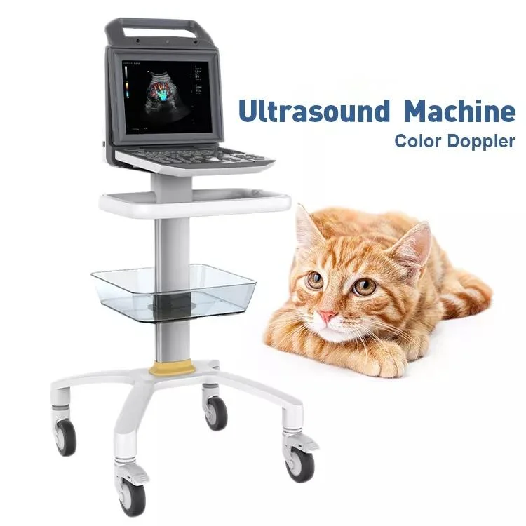 Medical Animal Pregnancy Scanner Portable Quality Color Veterinary Ultrasound System