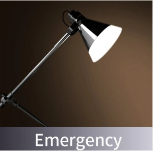 Good Quality Emergency Power Supply Portable Energy Storage for Wildlife Tracking Devices