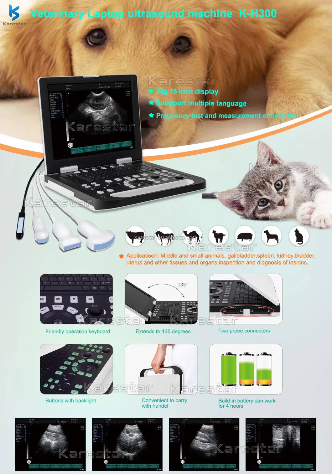 Pet Hospital Equipment Veterinary Echo Cheapest Portable Dog Pregnancy Ultrasound System