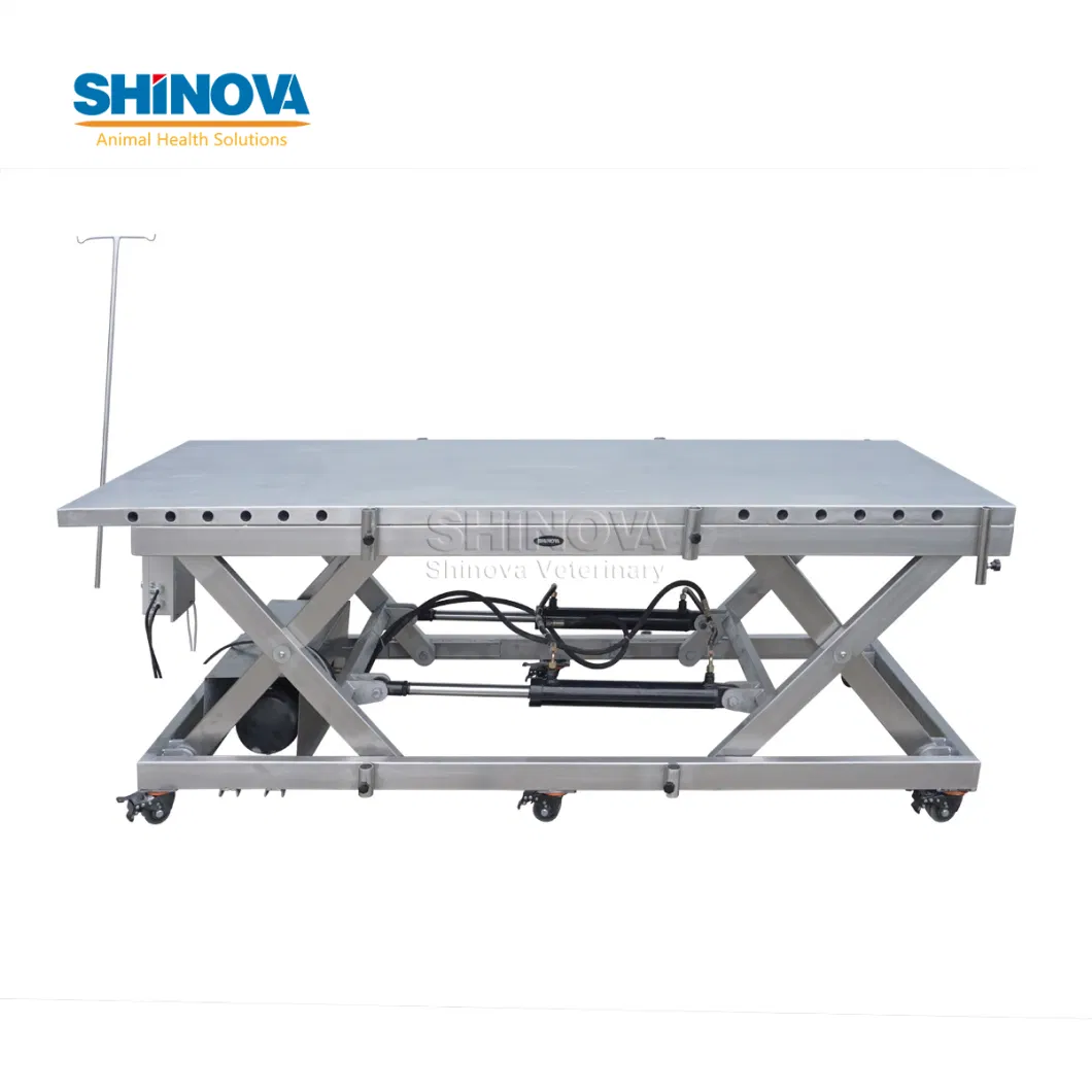 Veterinary Surgery Table Cattle/Horse Large Animal Surgery Table Equine Surgery Table (OT-03CV)