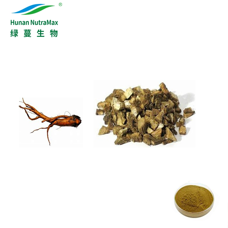 Laxative Sheep Sorrel Powder 4: 1 Rumex Crispus Root Extract