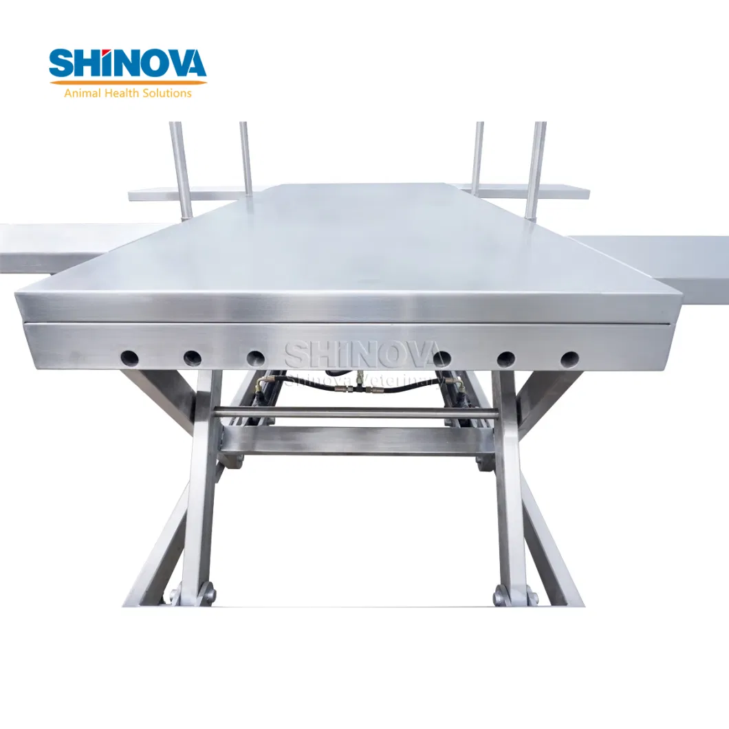 Veterinary Surgery Table Cattle/Horse Large Animal Surgery Table Equine Surgery Table (OT-03CV)