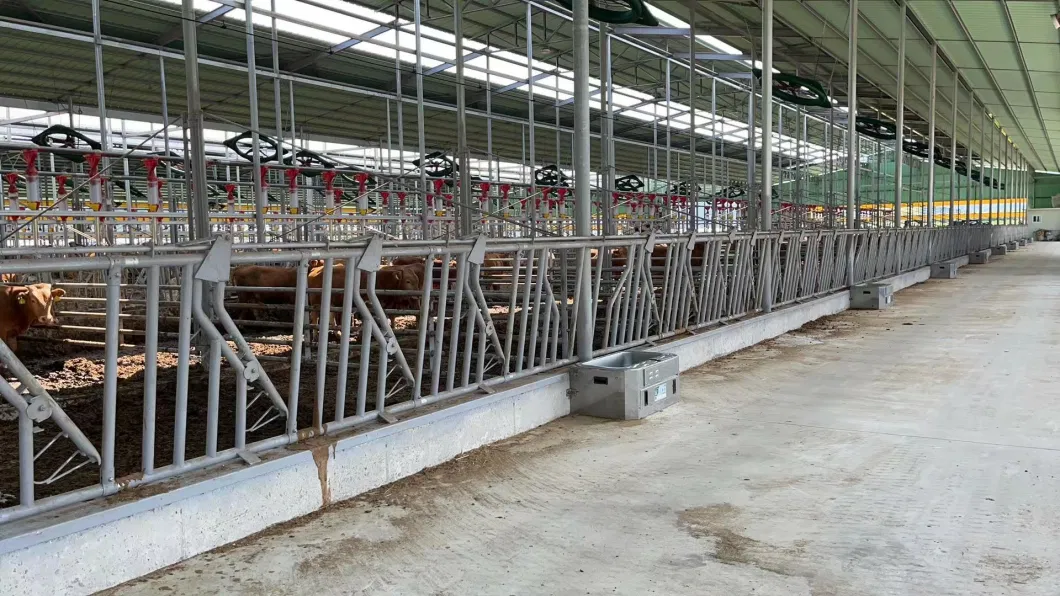 High Quality Hot-DIP Galvanized Cow Headlocks for Cattle Sheep Farm Equipment