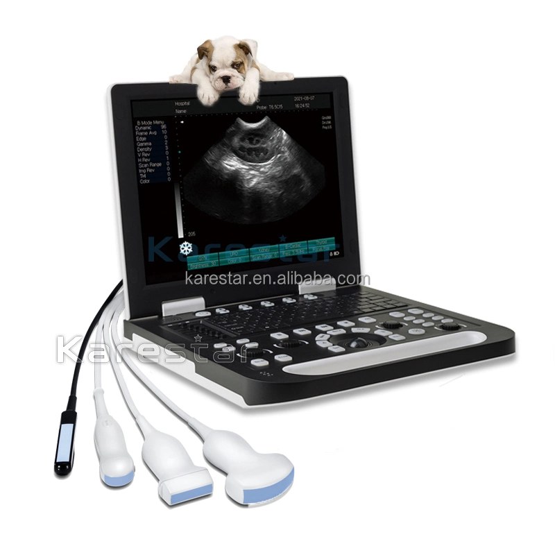 Pet Hospital Equipment Veterinary Echo Cheapest Portable Dog Pregnancy Ultrasound System