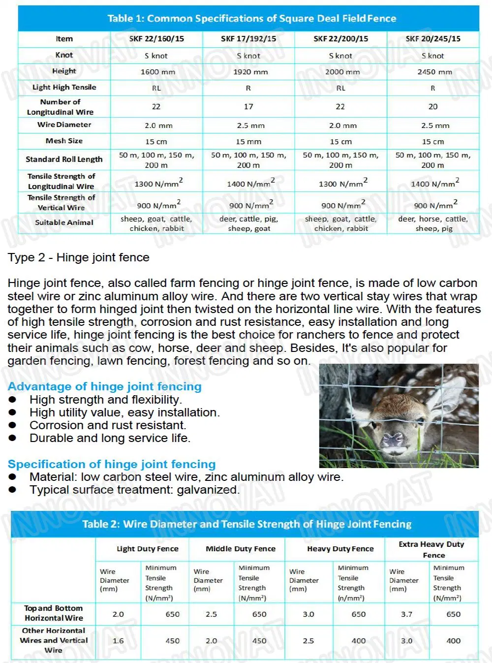 Farm Fence Wholesale Cattle/Sheep/Farm/Field/Deer Wire Mesh Fence Galvanized Grassland Fence