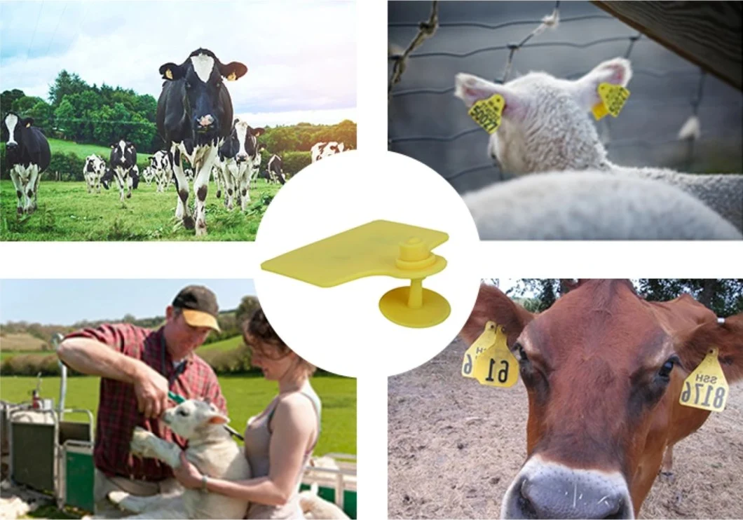 Livestock Tracking Tk4100 Lf Hdx UHF RFID Electronic Animal Ear Tag for Farm Animal Management