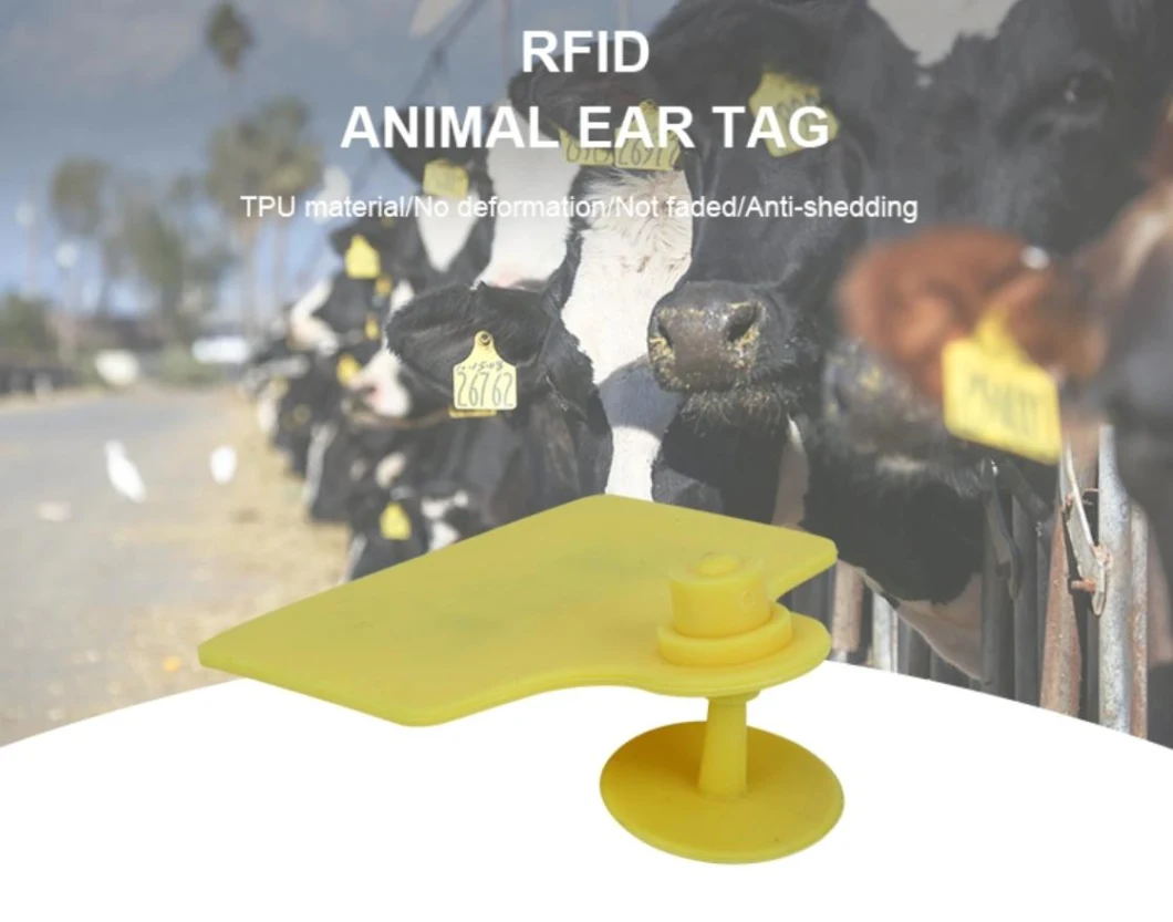 Livestock Tracking Tk4100 Lf Hdx UHF RFID Electronic Animal Ear Tag for Farm Animal Management