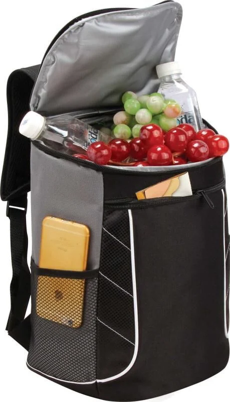 Outdoor Food Picnic Lunch Box Cooler Bag Backpack