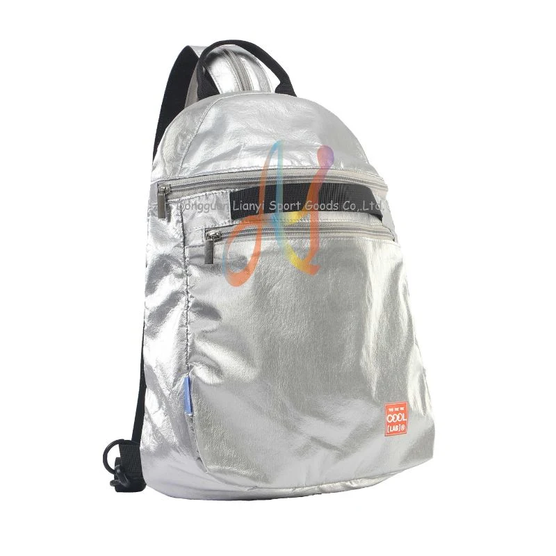 Urban Minimalist Backpack with Silver Metallic Design Versatile Bag for Daily Commutes, Travel, and School