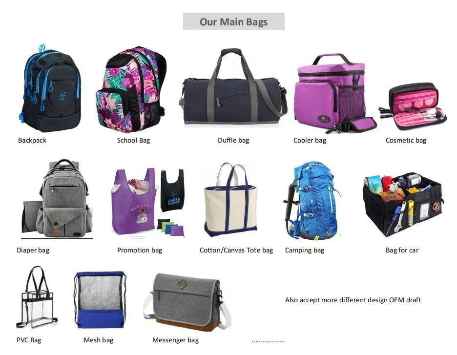 OEM Custom Student Trolley School Backpack with Wheels for Girls