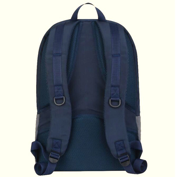 Famous Design Colored Nylon Handbags Laptop Backpack Bag (FRT4-38)