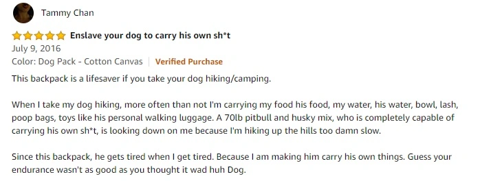 Hiking Medium Large Breeds Dog Backpack