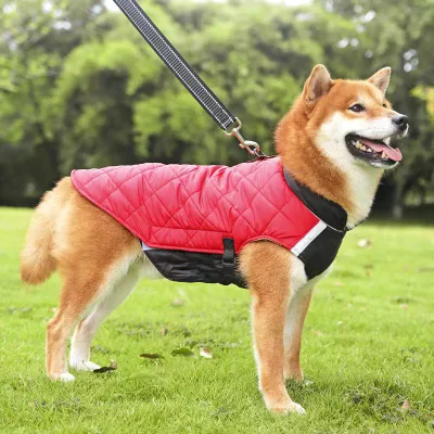 Abbigliamento per cani di taglia media Autunno e Inverno Shiba Inu Corgi piccolo cane Teddy che orso grande cane dorato Padded Rivestimento