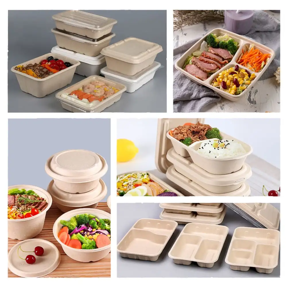 Bagasse Takeaway Food Box Factory Direct Supply Fast Food Packed Disposable Biodegradable Lunch Box Takeaway Food Containers