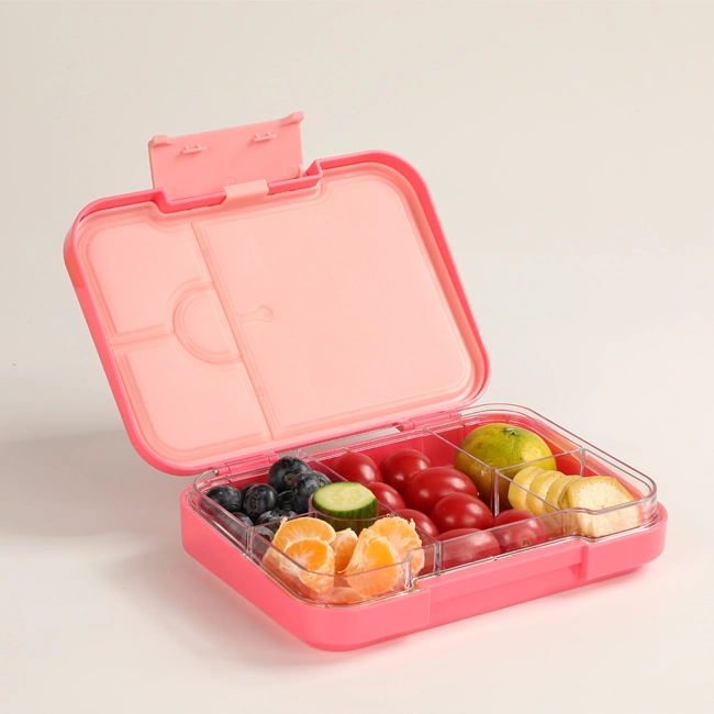 Aohea Bento Box Kids Classic 6 Compartment for Adults Leakproof Lunch Containers