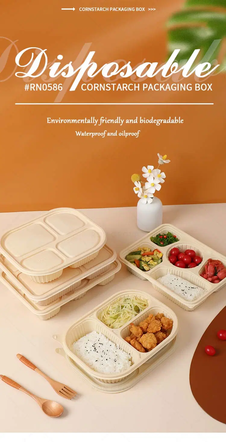 Thinning Biodegradable and Environmentally Friendly Takeout Meal Boxes for Packed Lunch Boxes