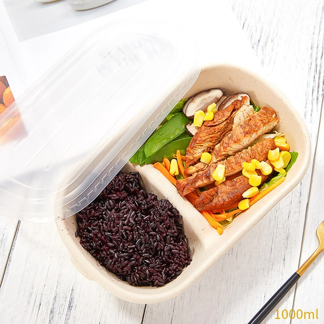 750ml-800ml Disposable Packed Lunch Box Capable of Heating and Refrigerating Green Healthy and Biodegradable Takeaway Box