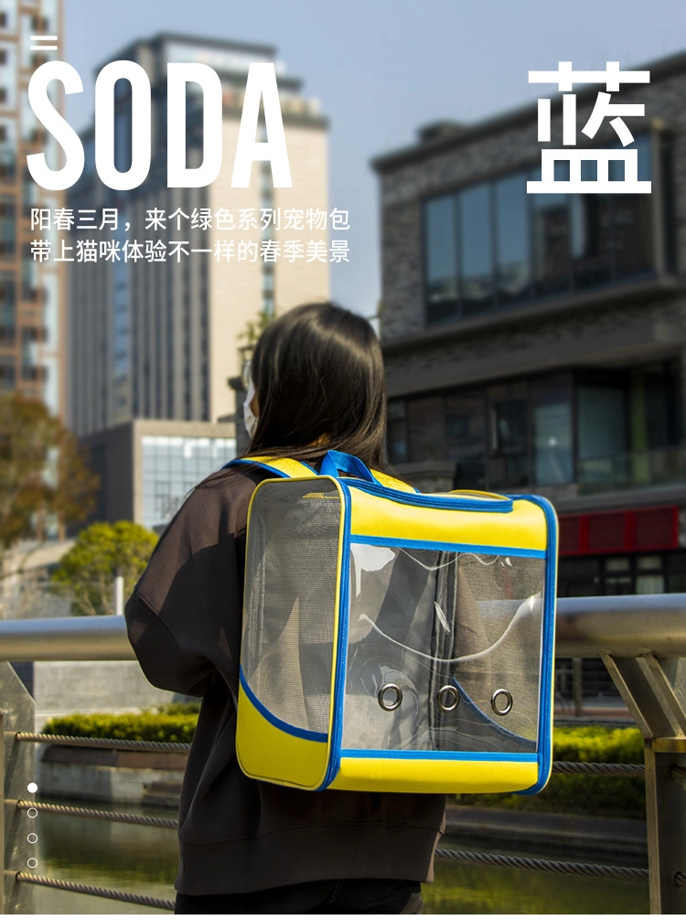 New Products 2024 Large Portable Transparent Pet Backpack for Outings