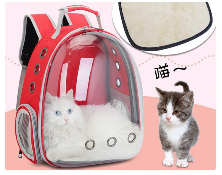 Large Capacity Cat Outing Transparent Panoramic Portable Shoulder Backpacks