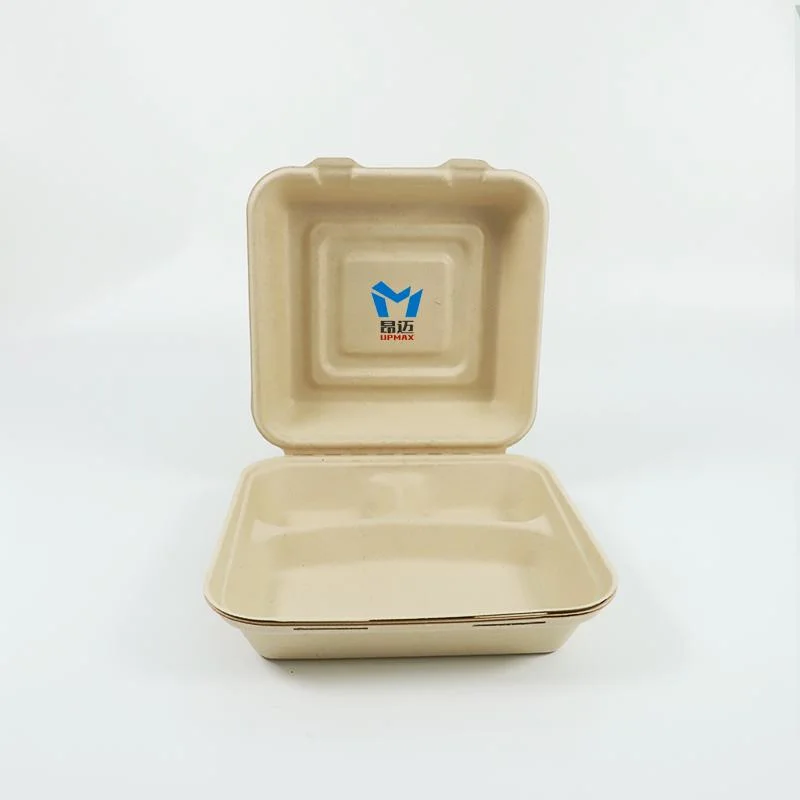 Factory Direct off-The-Shelf Disposable Biodegradable Fast Food Takeaway Packed Lunch Box Can Be Customized