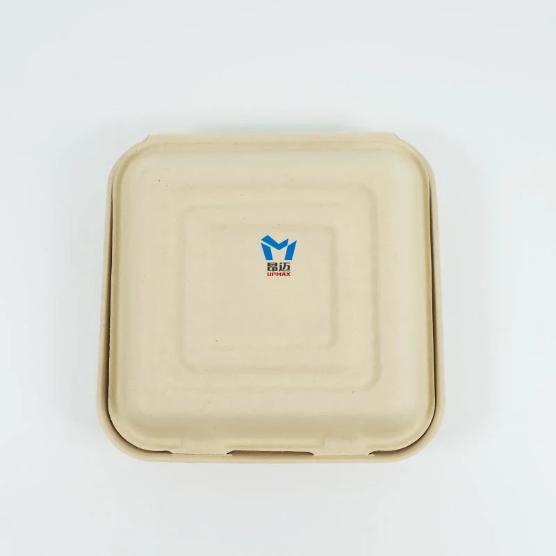 Factory Direct off-The-Shelf Disposable Biodegradable Fast Food Takeaway Packed Lunch Box Can Be Customized